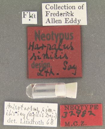 Media type: image;   Entomology 32982 Aspect: labels